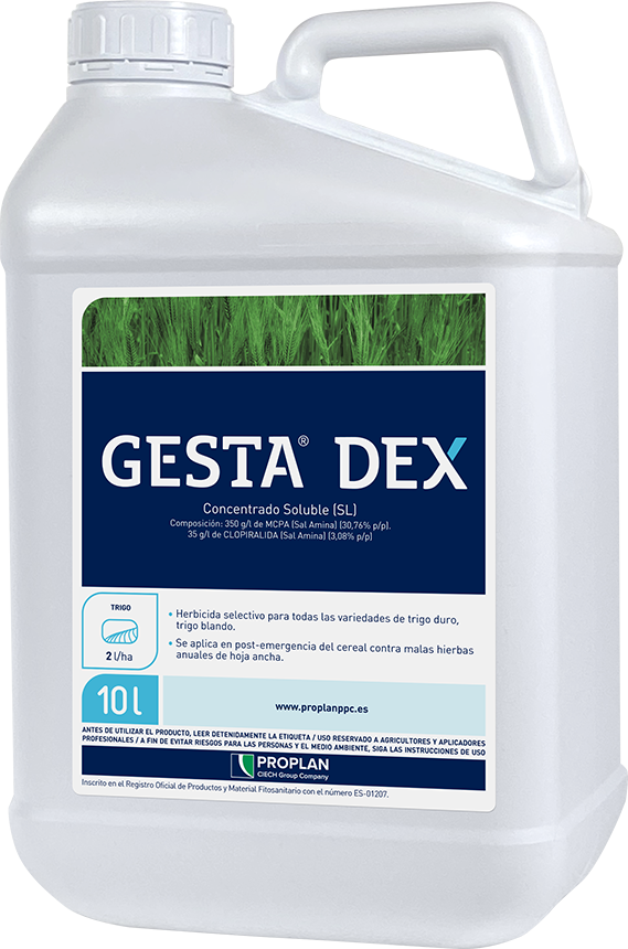 Product image  GESTA DEX